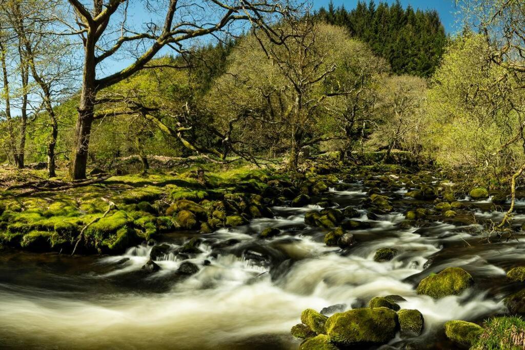 Charming Riverside Cottage In Snowdonia National Park Tanygrisiau 外观 照片