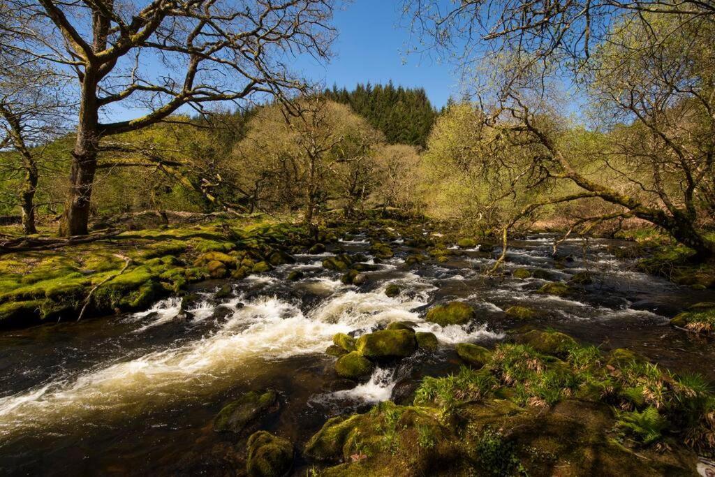 Charming Riverside Cottage In Snowdonia National Park Tanygrisiau 外观 照片