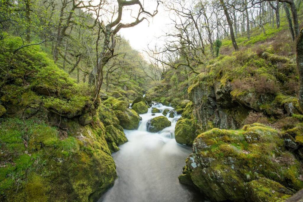 Charming Riverside Cottage In Snowdonia National Park Tanygrisiau 外观 照片