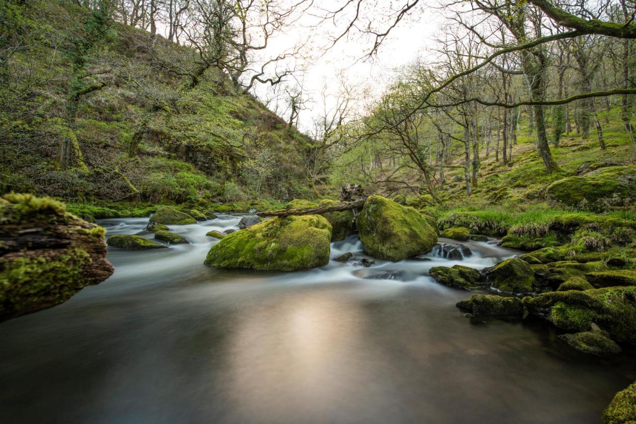 Charming Riverside Cottage In Snowdonia National Park Tanygrisiau 外观 照片